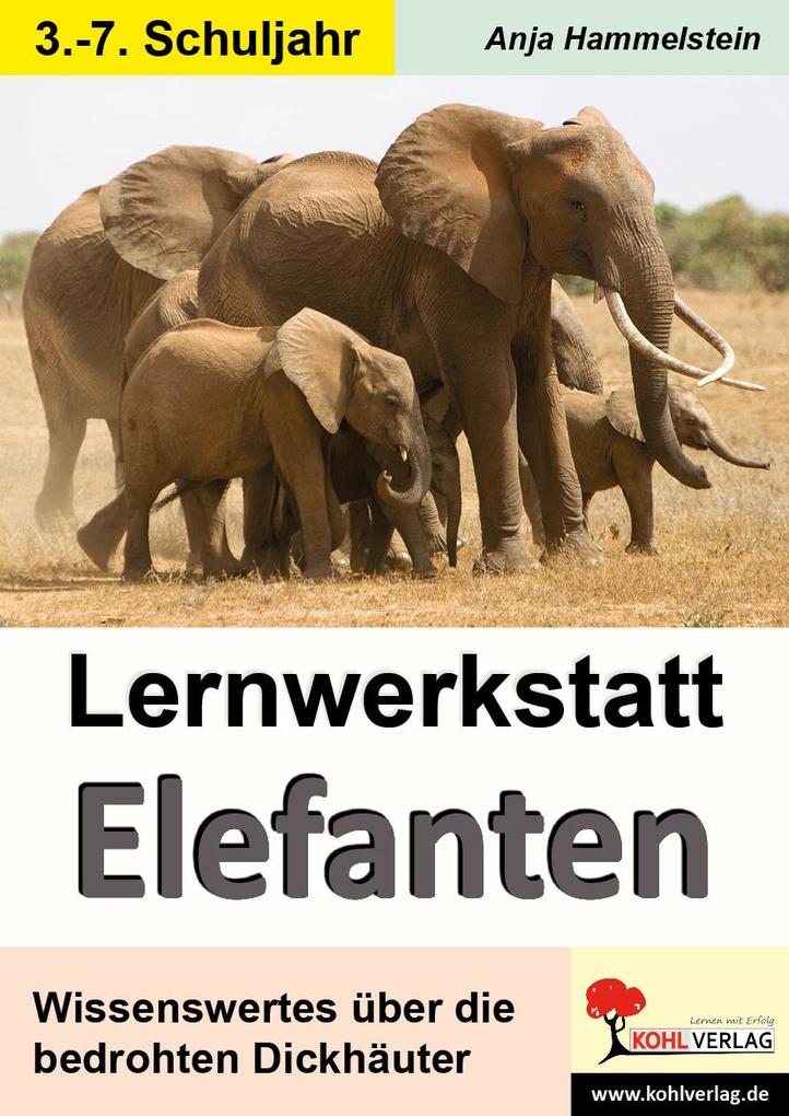 Lernwerkstatt Elefanten