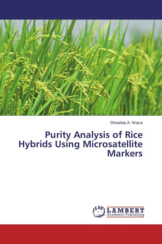 Purity Analysis of Rice Hybrids Using Microsatellite Markers