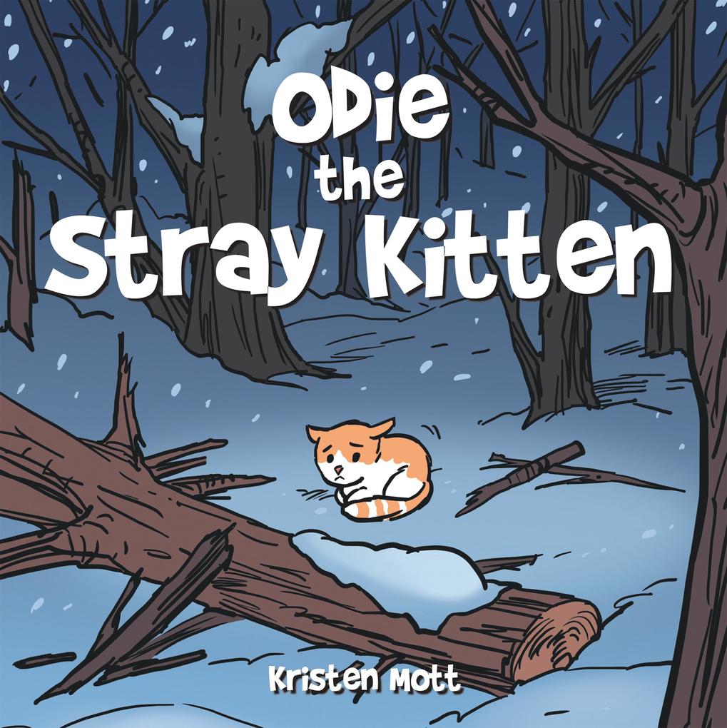 Odie the Stray Kitten