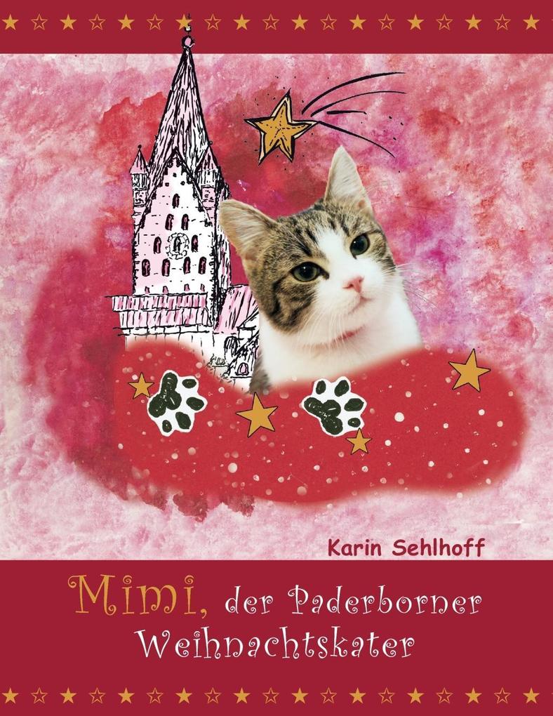 Mimi der Paderborner Weihnachtskater