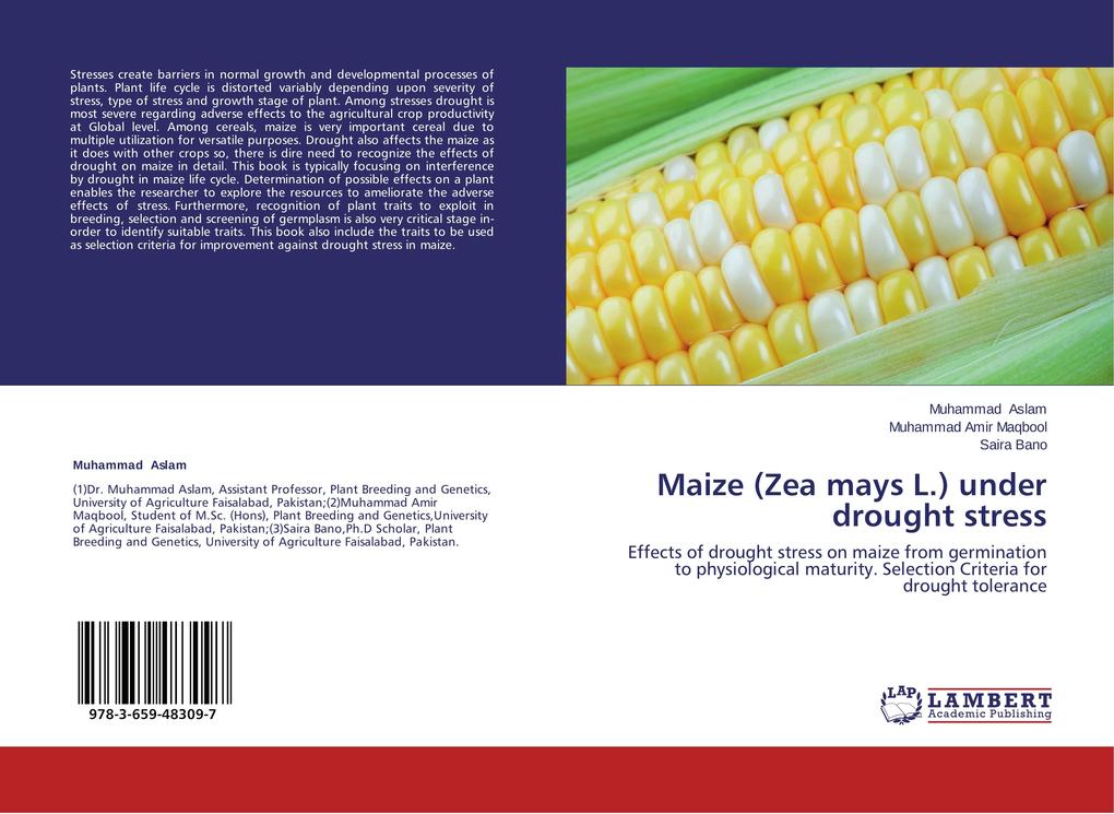 Maize (Zea mays L.) under drought stress