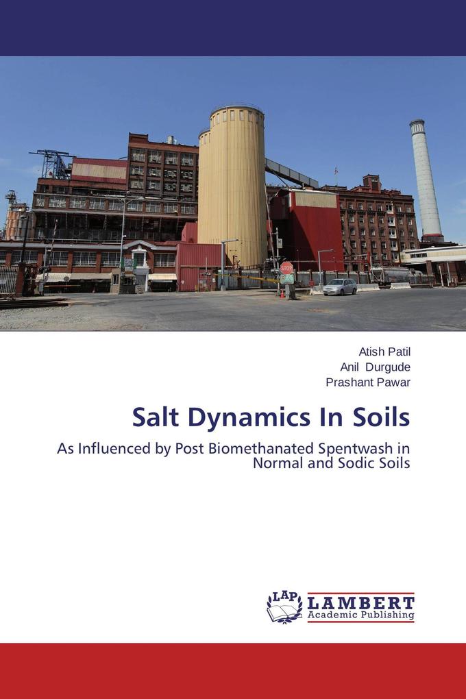 Salt Dynamics In Soils