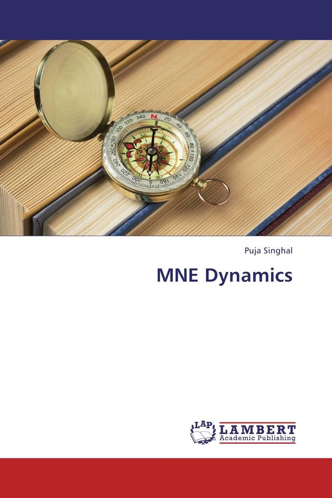 MNE Dynamics