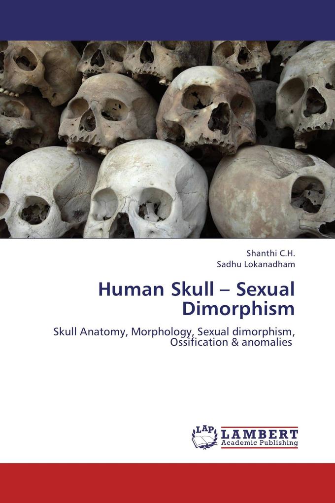 Human Skull - Sexual Dimorphism