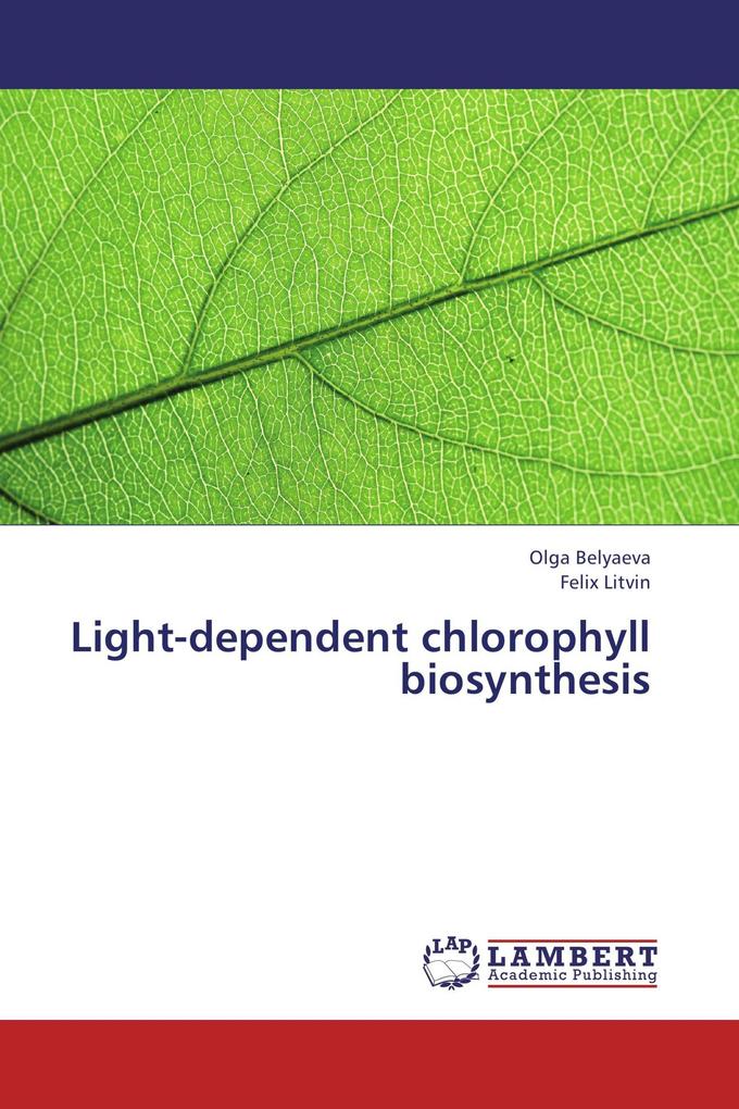 Light-dependent chlorophyll biosynthesis