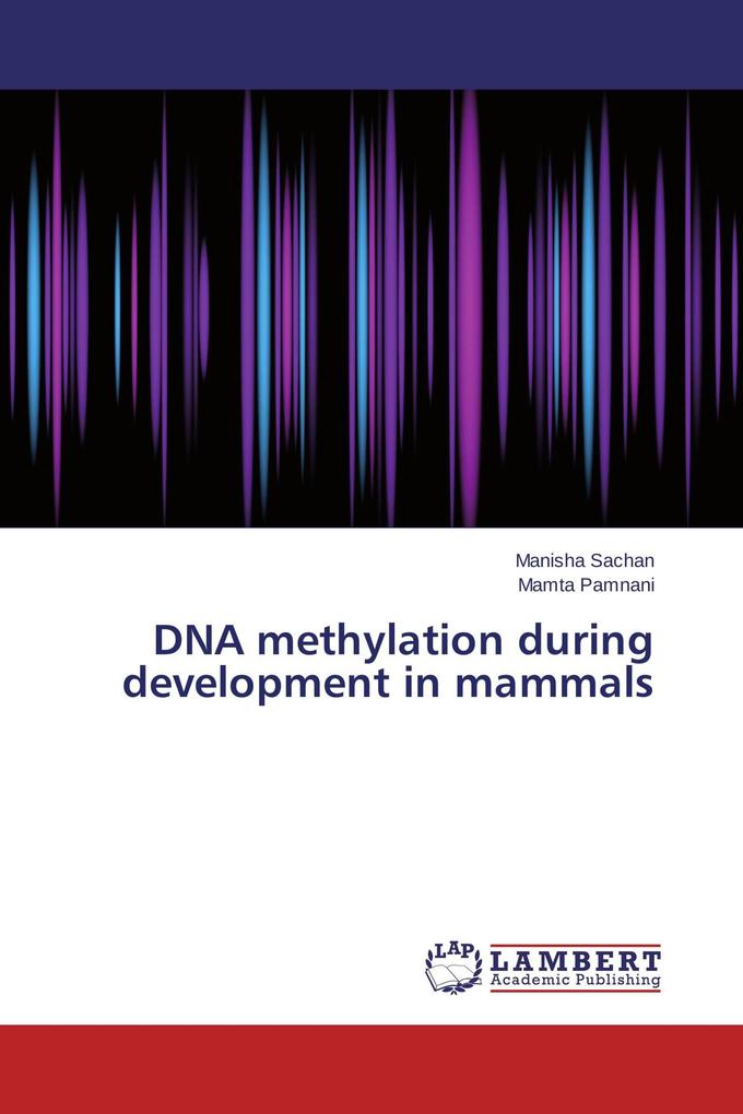 DNA methylation during development in mammals