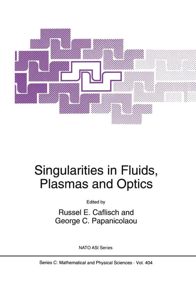 Singularities in Fluids Plasmas and Optics