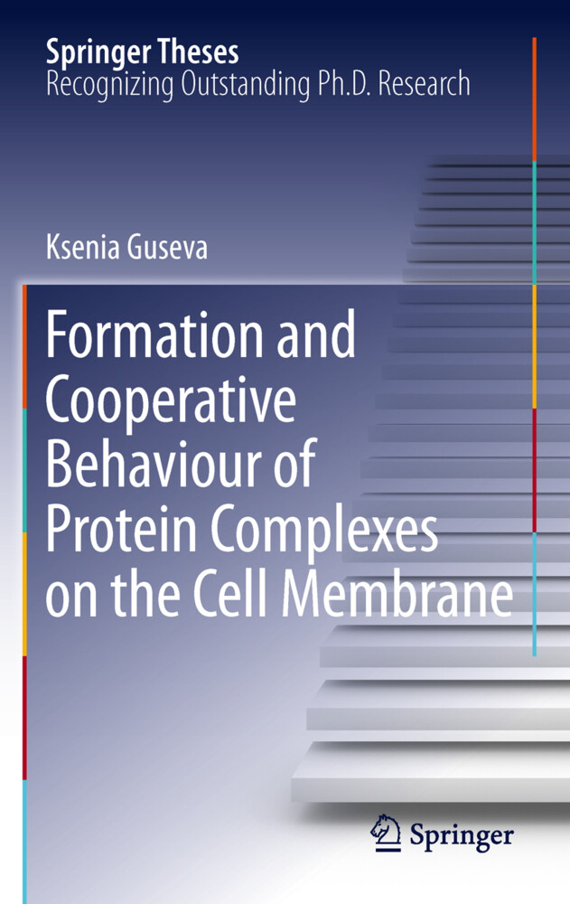Formation and Cooperative Behaviour of Protein Complexes on the Cell Membrane