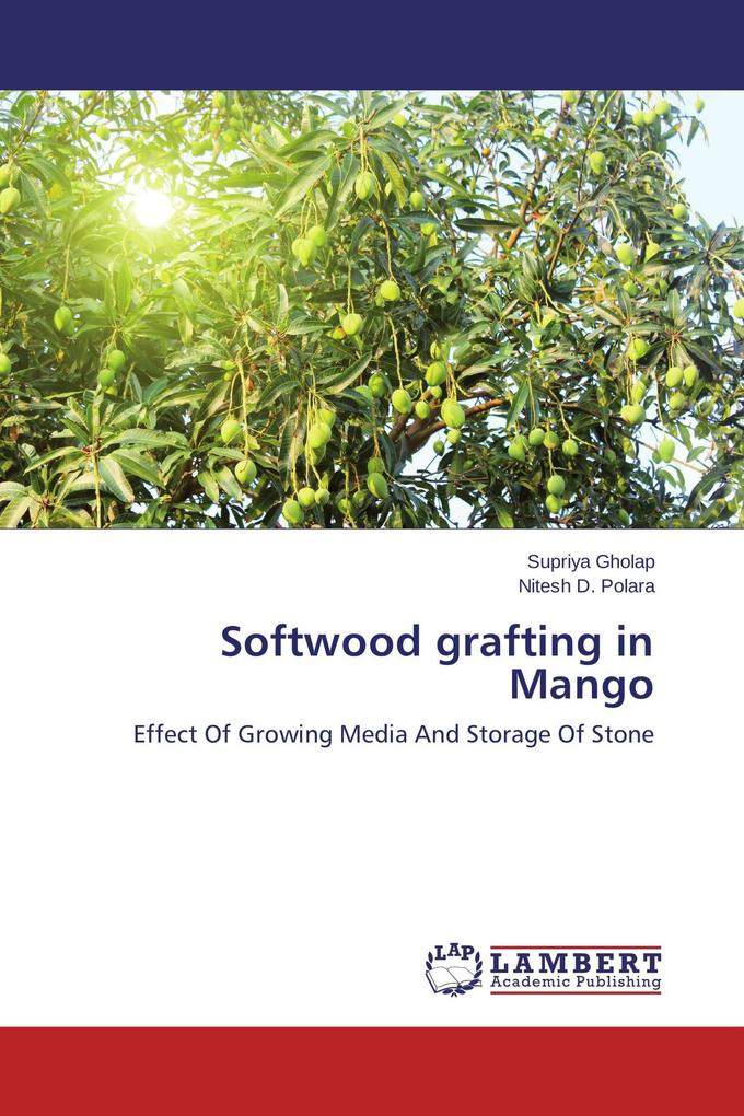 Softwood grafting in Mango