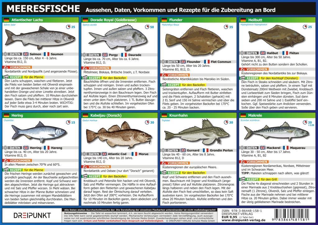 Info-Tafel-Set Meeresfische