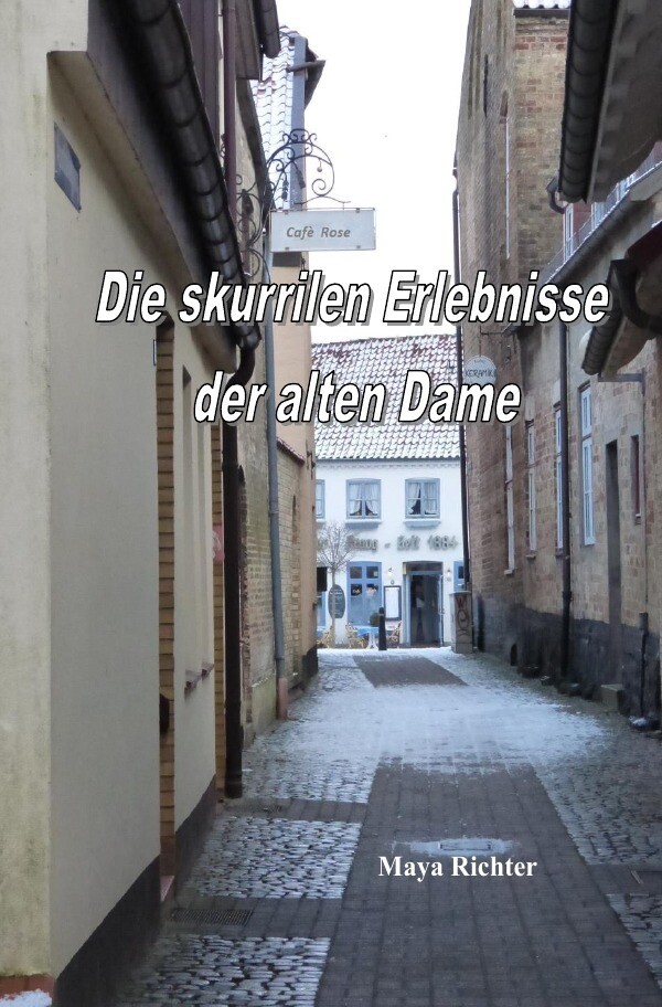 Image of Die skurrilen Erlebnisse der alten Dame