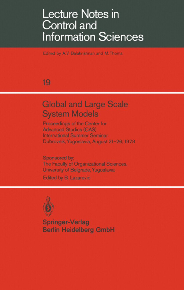 Global and Large Scale System Models