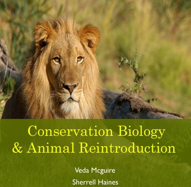 Conservation Biology & Animal Reintroduction