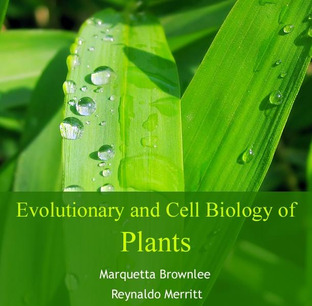 Evolutionary and Cell Biology of Plants