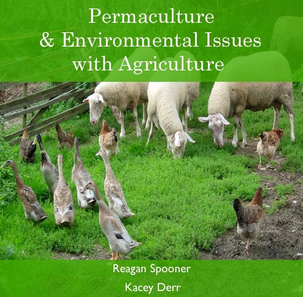 Permaculture & Environmental Issues with Agriculture