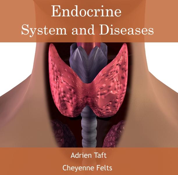 Endocrine System and Diseases