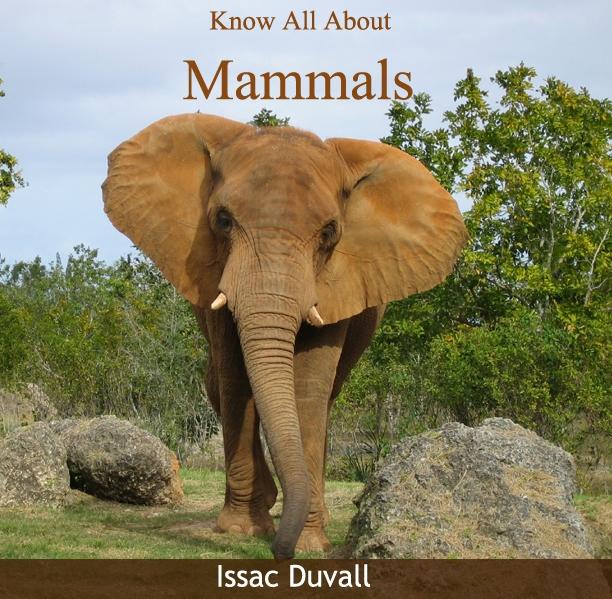 Know All About Mammals