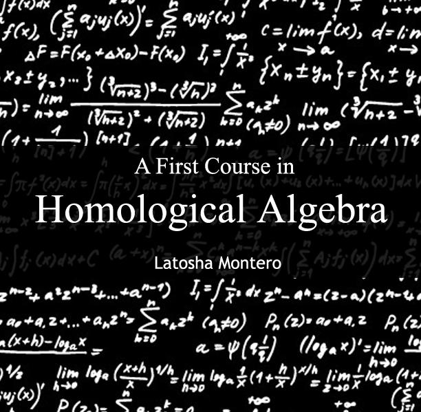First Course in Homological Algebra A