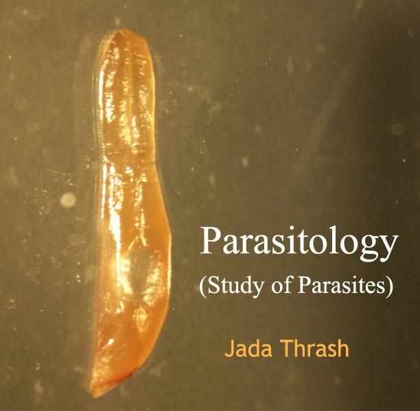 Parasitology (Study of Parasites)