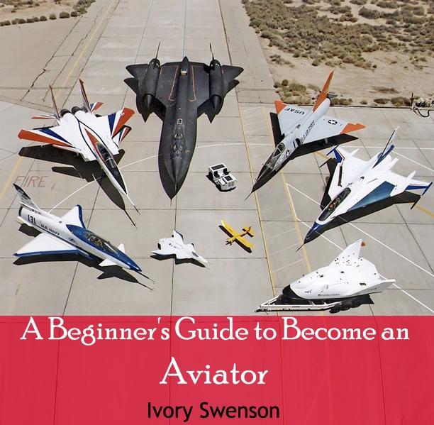 Beginner's Guide to Become an Aviator A