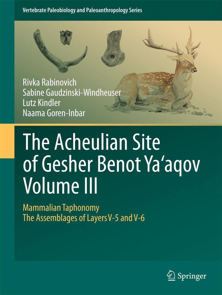 The Acheulian Site of Gesher Benot Ya'aqov Volume III