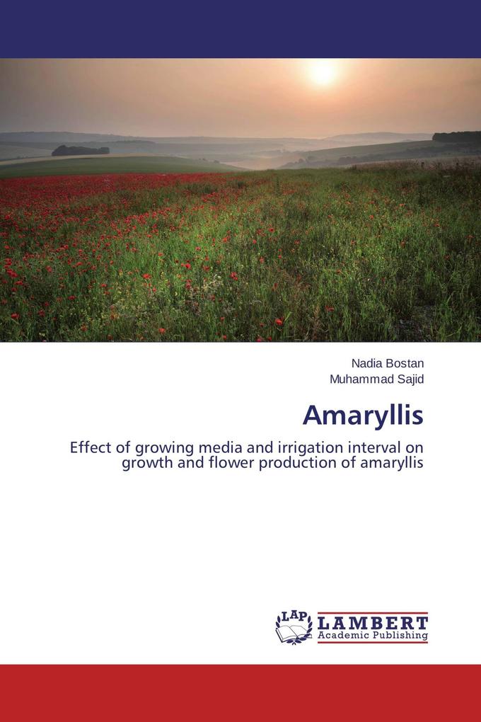 Amaryllis