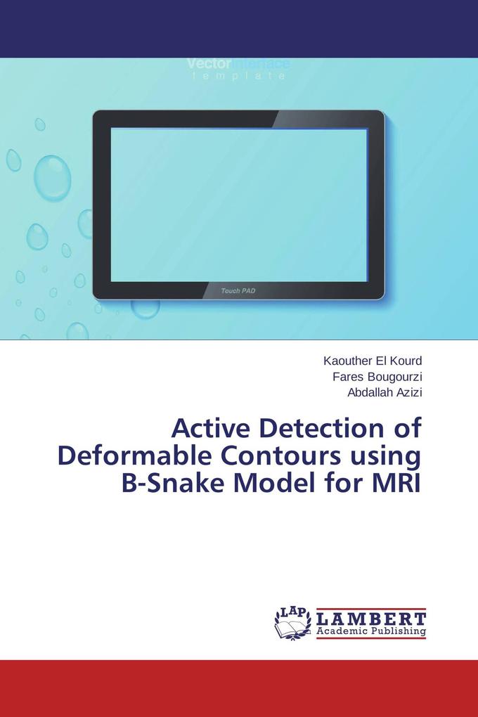 Active Detection of Deformable Contours using B-Snake Model for MRI