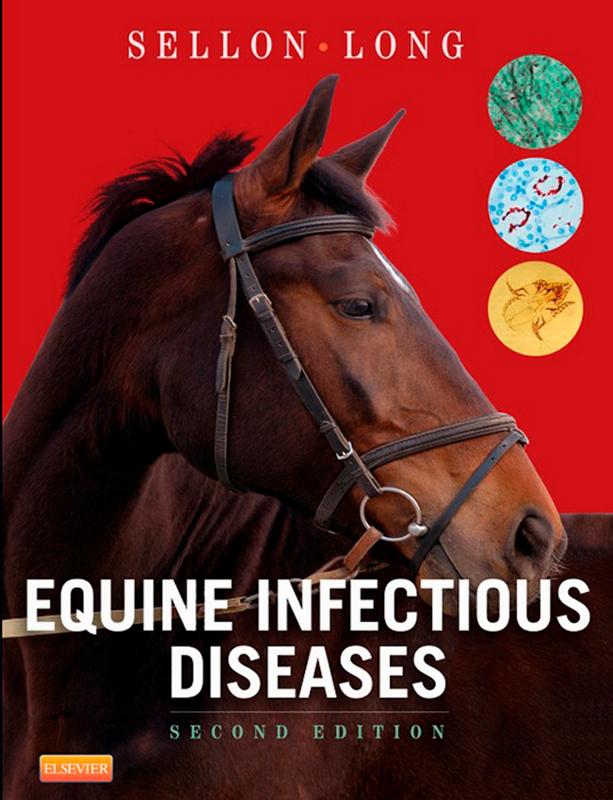 Equine Infectious Diseases E-Book