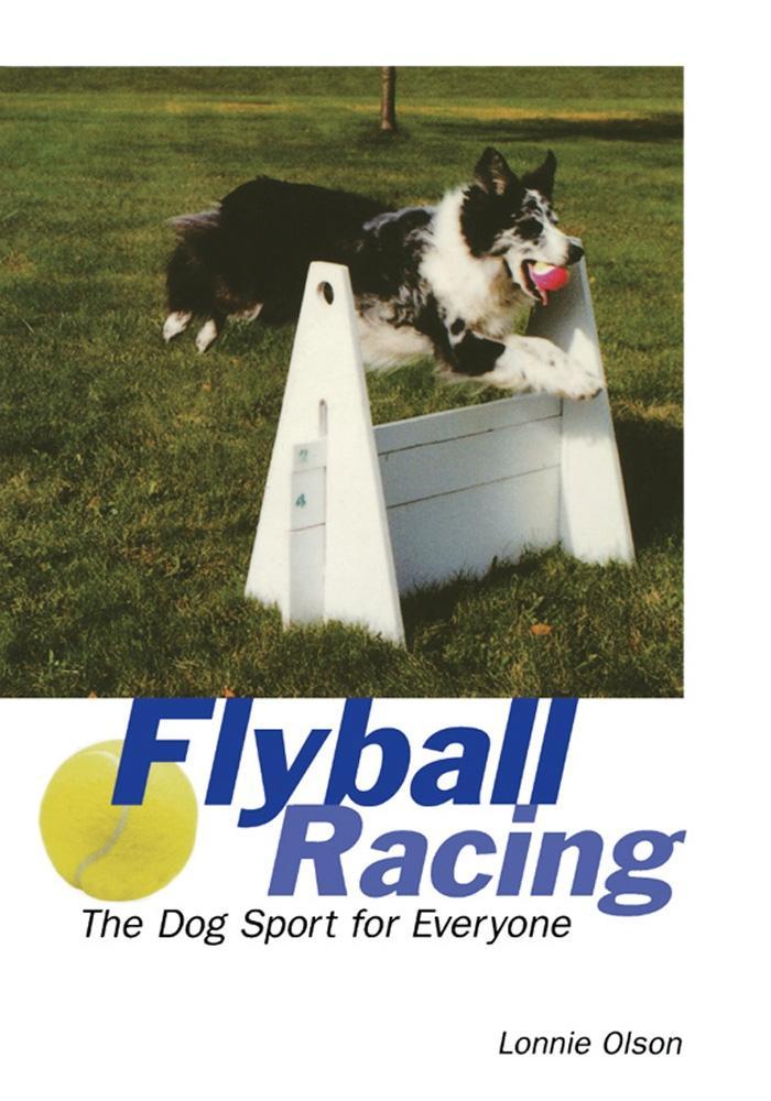 Flyball Racing