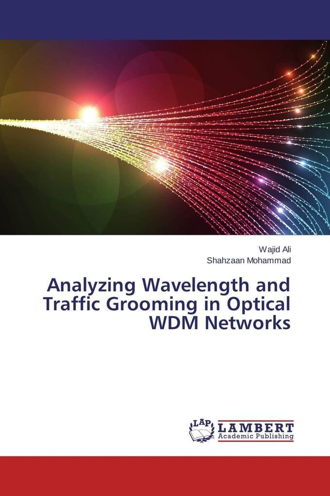 Analyzing Wavelength and Traffic Grooming in Optical WDM Networks