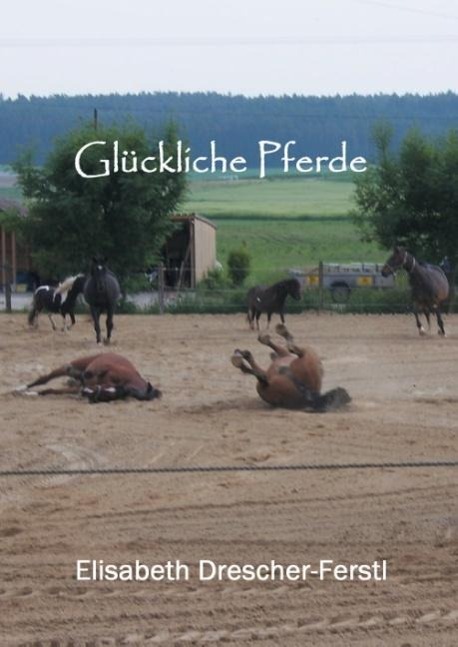 Glückliche Pferde