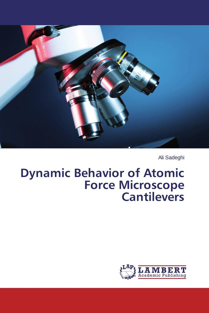 Dynamic Behavior of Atomic Force Microscope Cantilevers