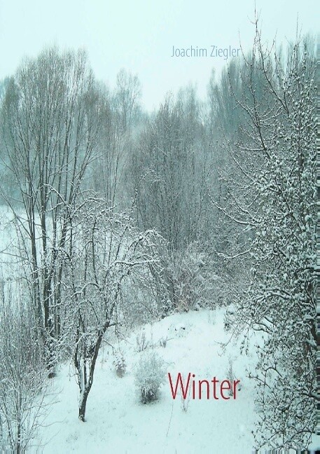Winter als Buch von Joachim Ziegler - Joachim Ziegler