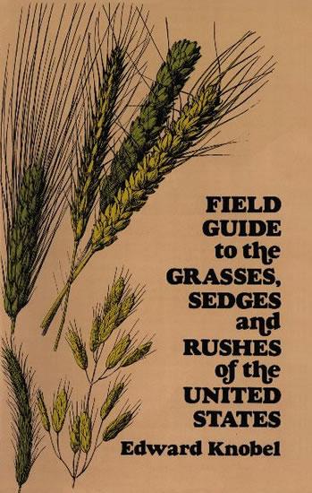 Field Guide to the Grasses Sedges and Rushes of the United States