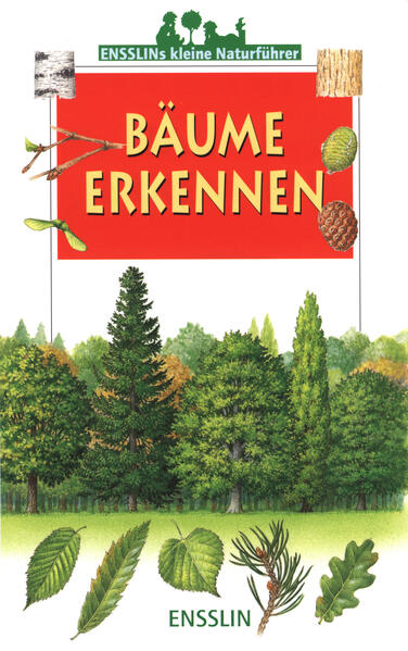 Image of Bäume erkennen