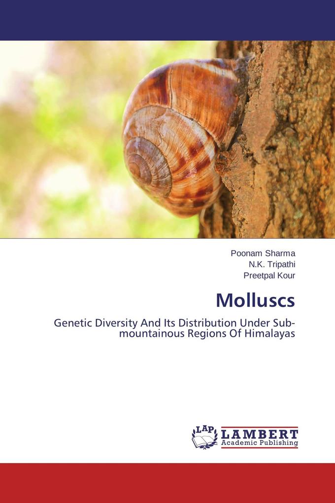 Molluscs