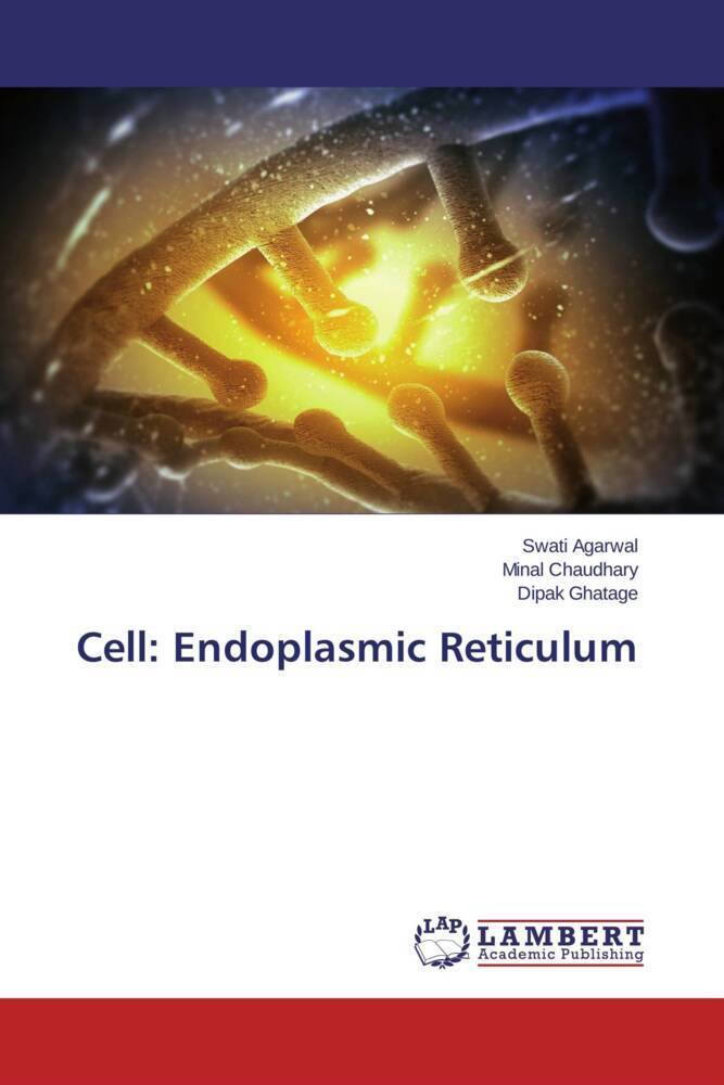Cell: Endoplasmic Reticulum