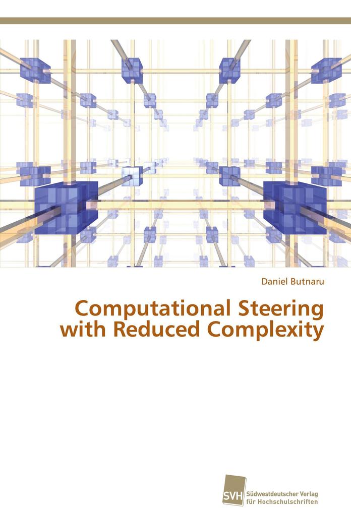 Computational Steering with Reduced Complexity