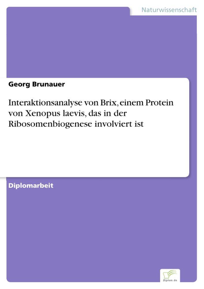 Interaktionsanalyse von Brix einem Protein von Xenopus laevis das in der Ribosomenbiogenese involviert ist