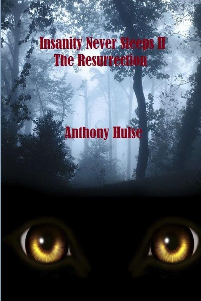 INSANITY NEVER SLEEPS II THE RESURRECTION