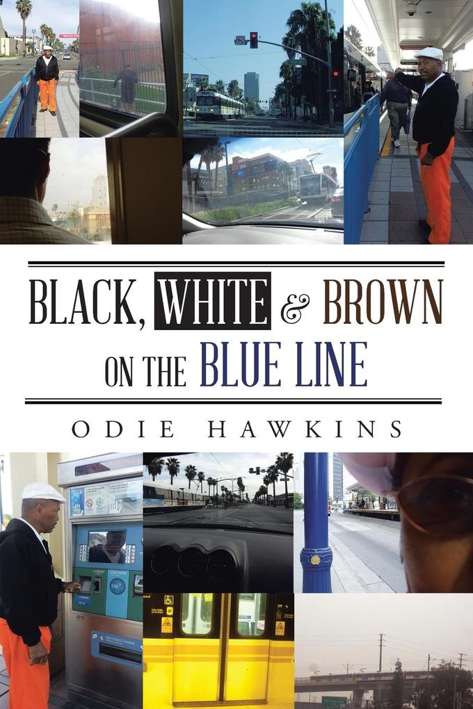 Black White & Brown On The Blue Line