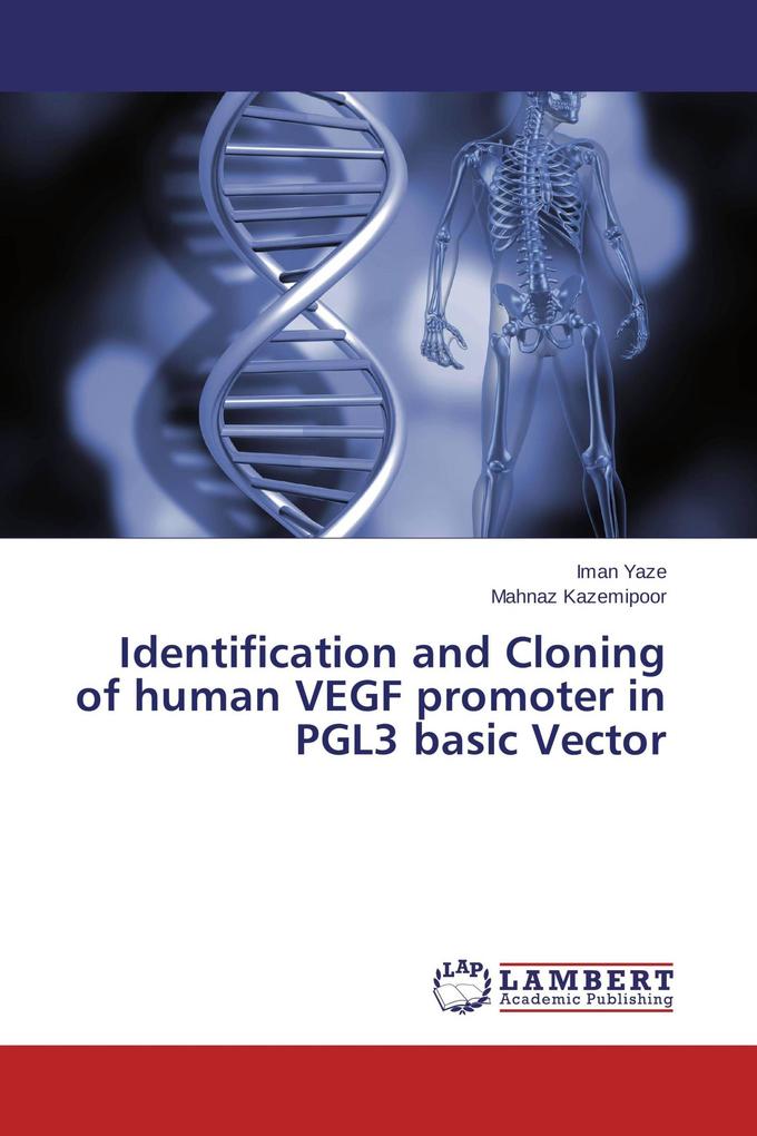 Identification and Cloning of human VEGF promoter in PGL3 basic Vector