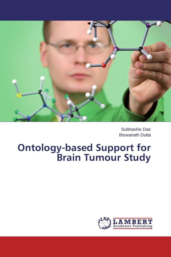 Ontology-based Support for Brain Tumour Study