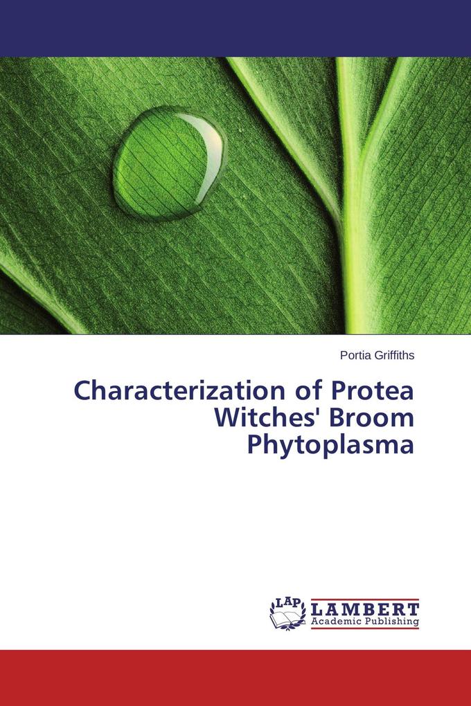 Characterization of Protea Witches' Broom Phytoplasma