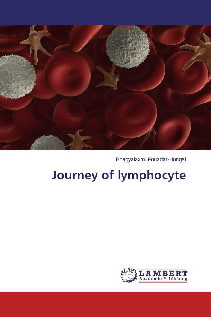 Journey of lymphocyte