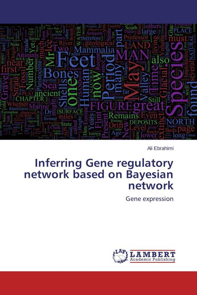 Inferring Gene regulatory network based on Bayesian network
