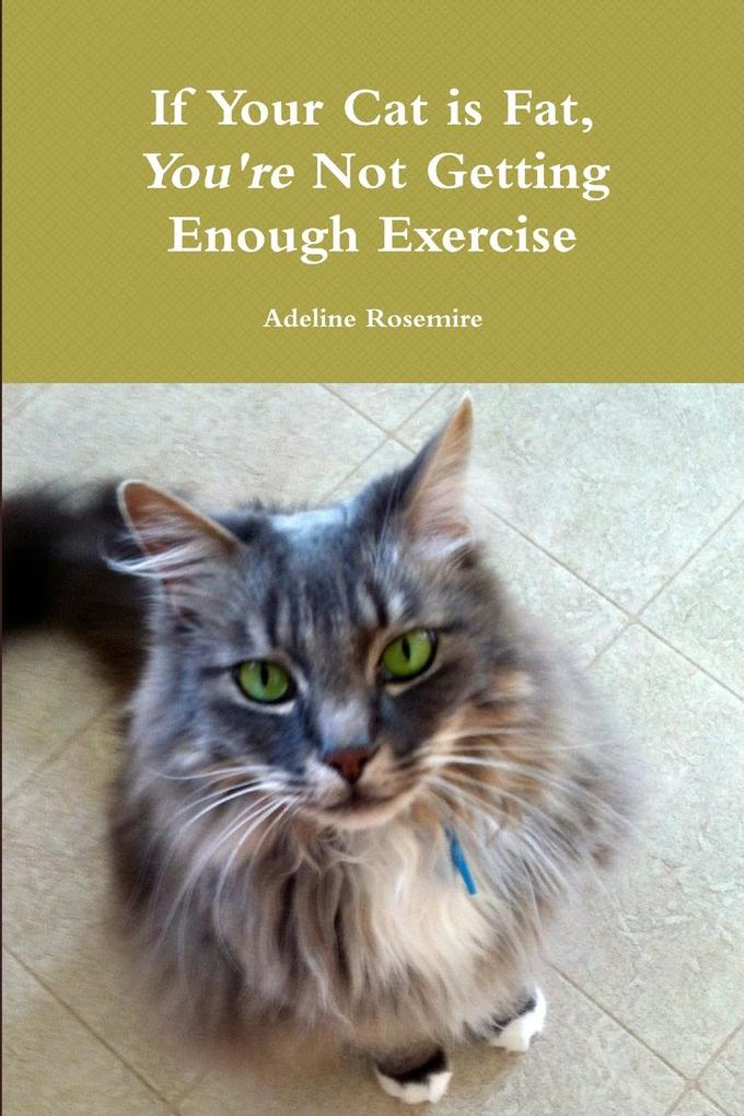 If Your Cat Is Fat You're Not Getting Enough Exercise