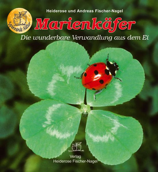 Fischer-Nagel Heiderose Marienkäfer