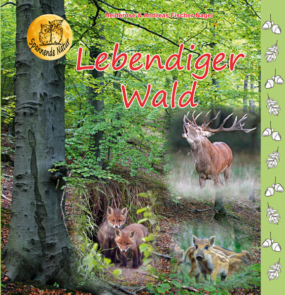 Image of Lebendiger Wald