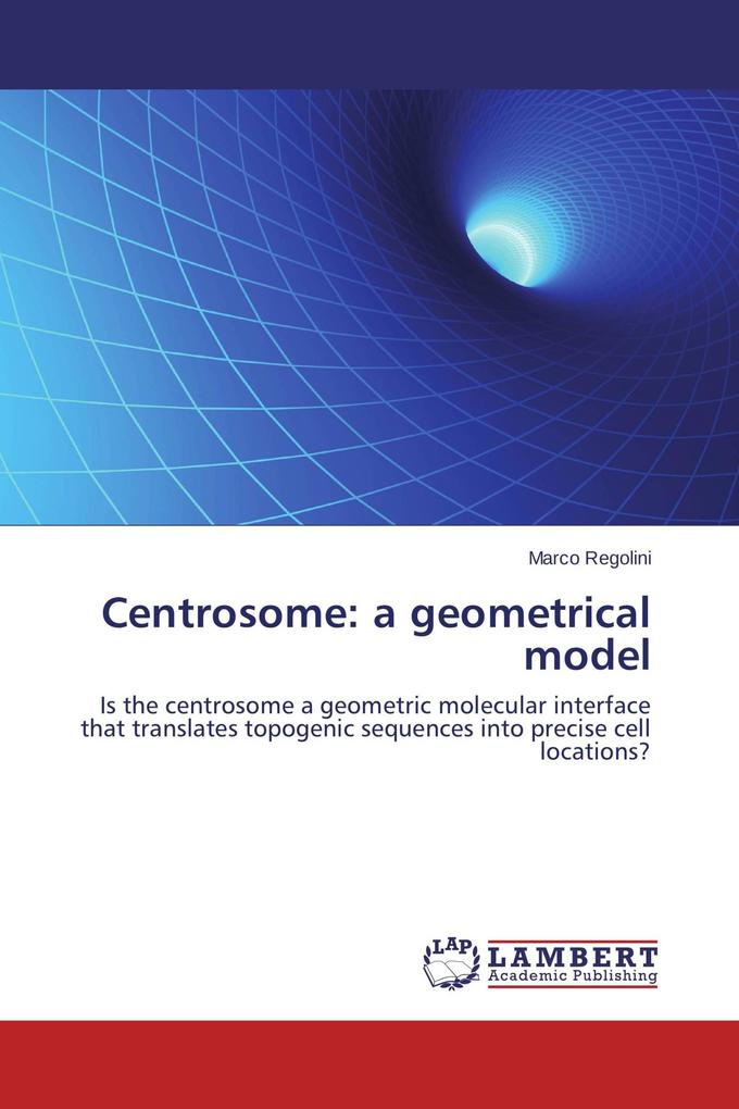 Centrosome: a geometrical model